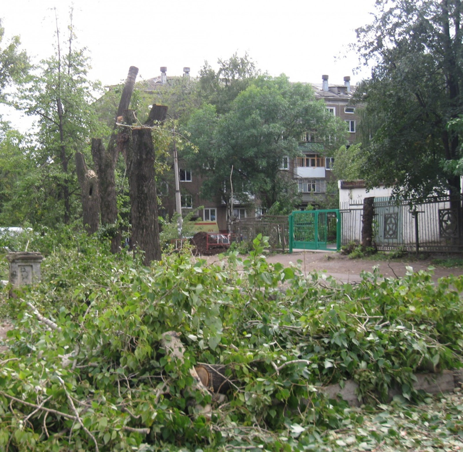 Фото автора.