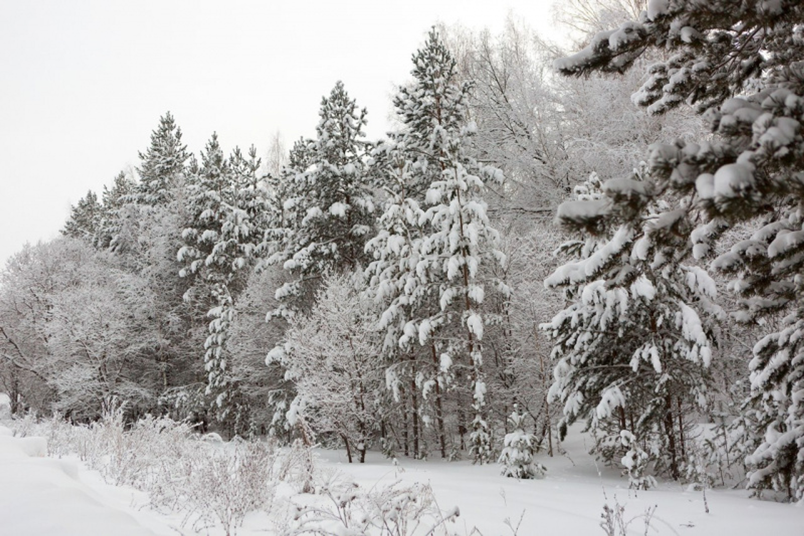 Фото Фаиля Абсатарова.
