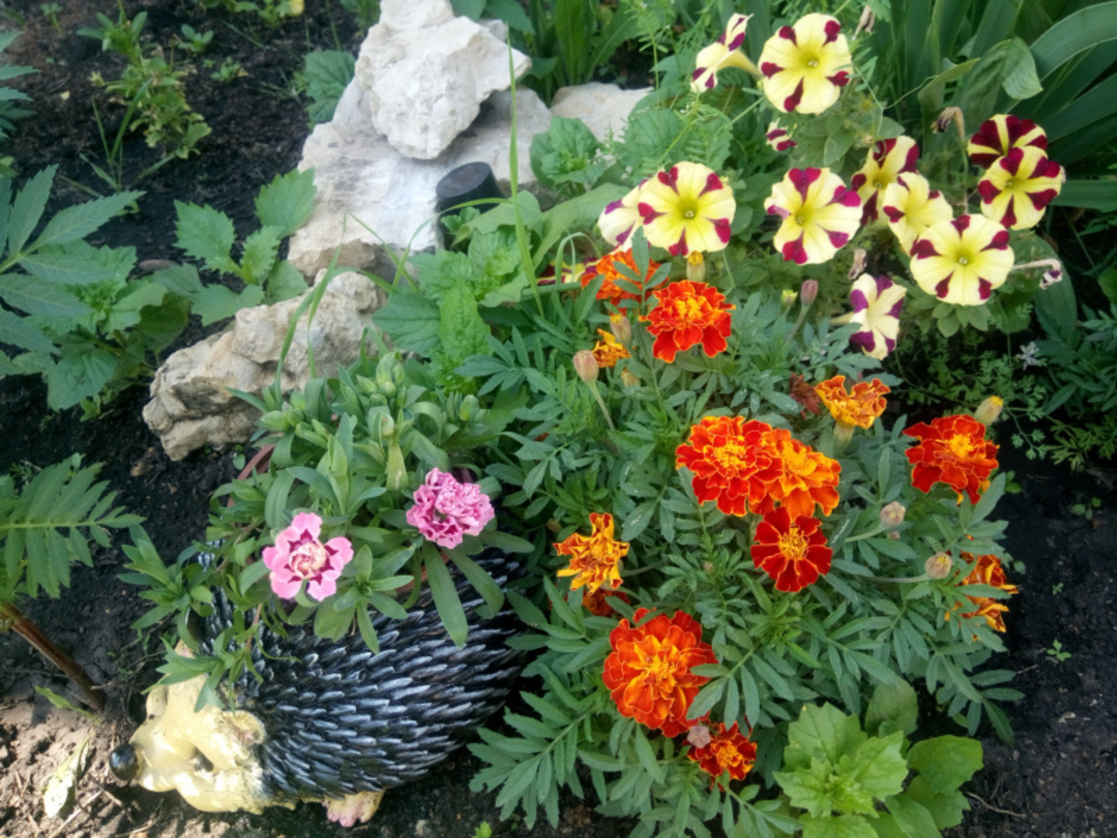 Фото Васили Саитовой.