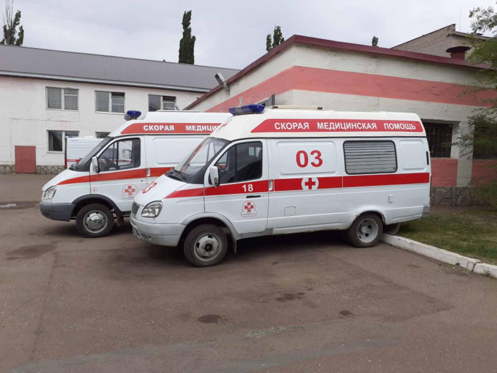 Фото автора.