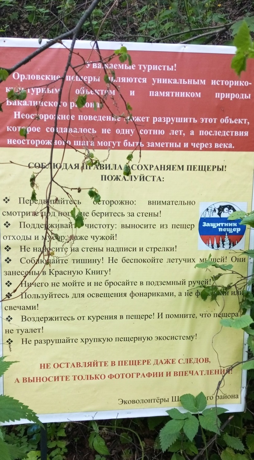 Евгении Сюткиной.