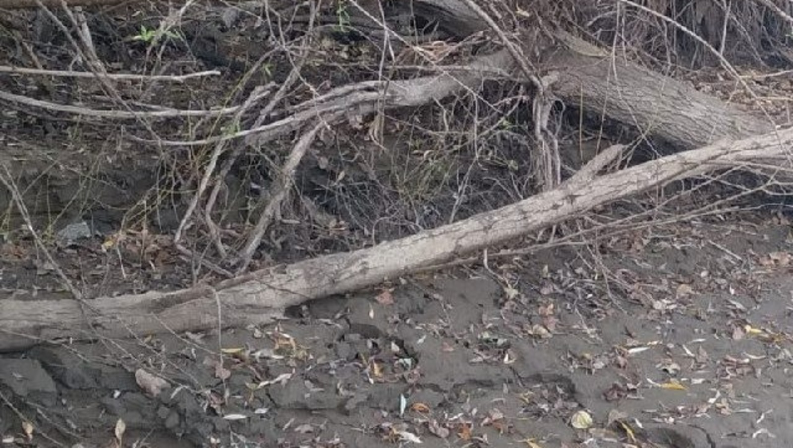 Teiegram Управления гражданской защиты Уфы.