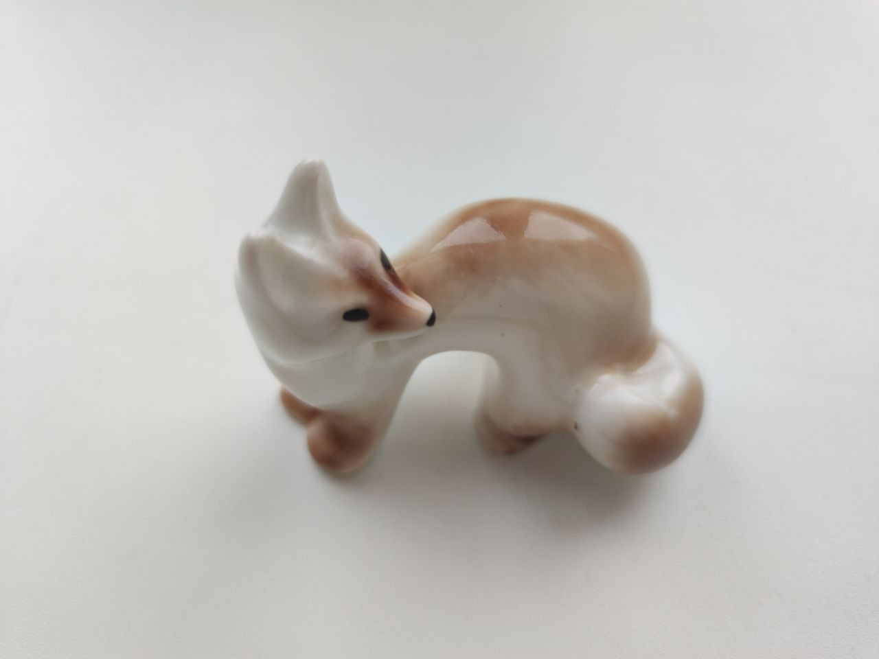 В районе Башкирии сняли карантин по бешенству