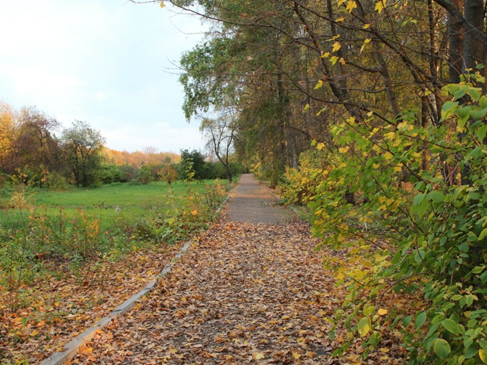 Фото автора.