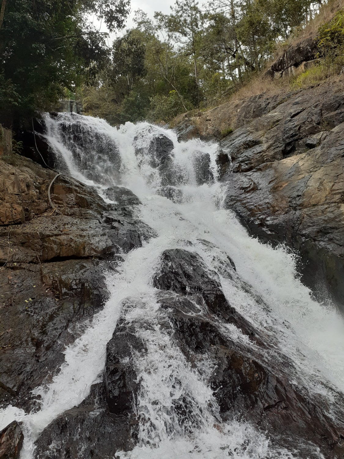 Владимира Шакиева. «Общественная электронная газета».