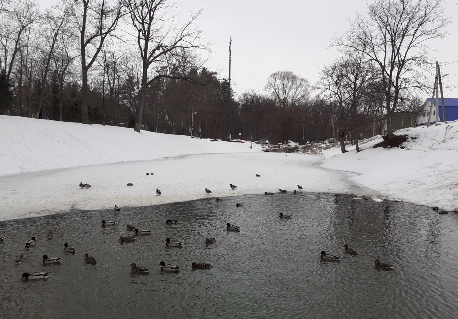 Владимира Шакиева.