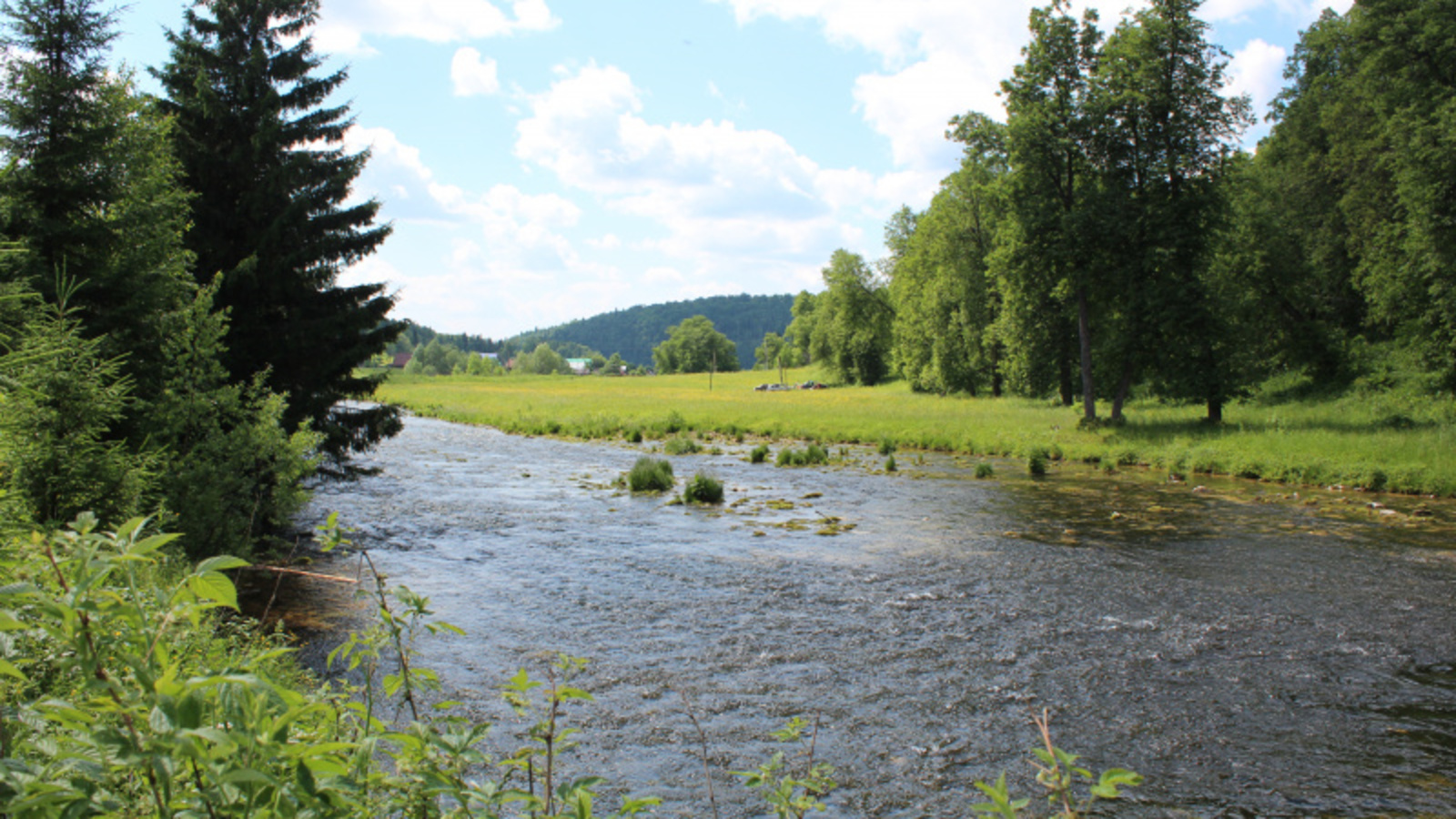 Фото автора.