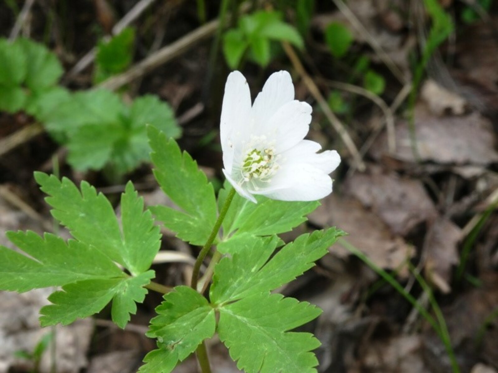 Фото Елены Колоколовой.