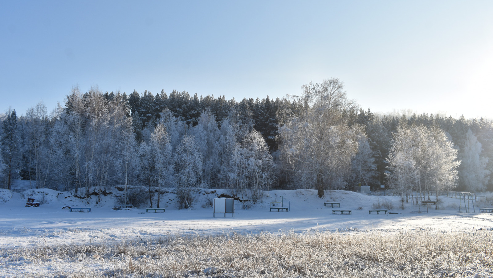 Елены Колоколовой.