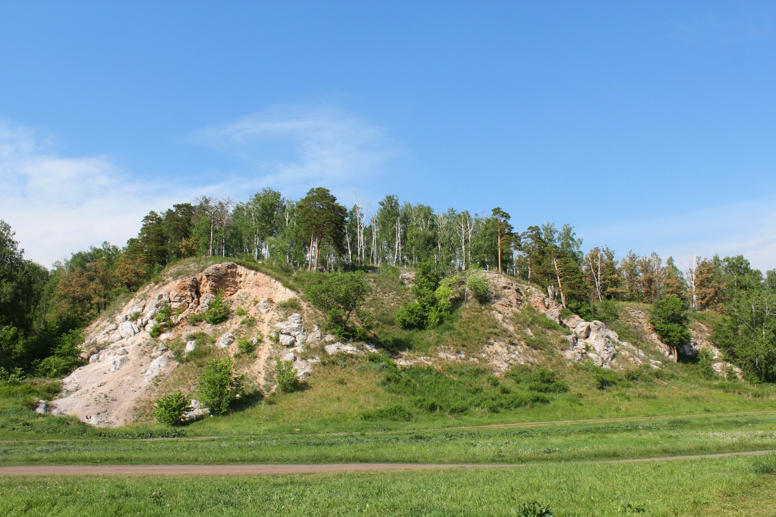 Дарьи Святохиной.