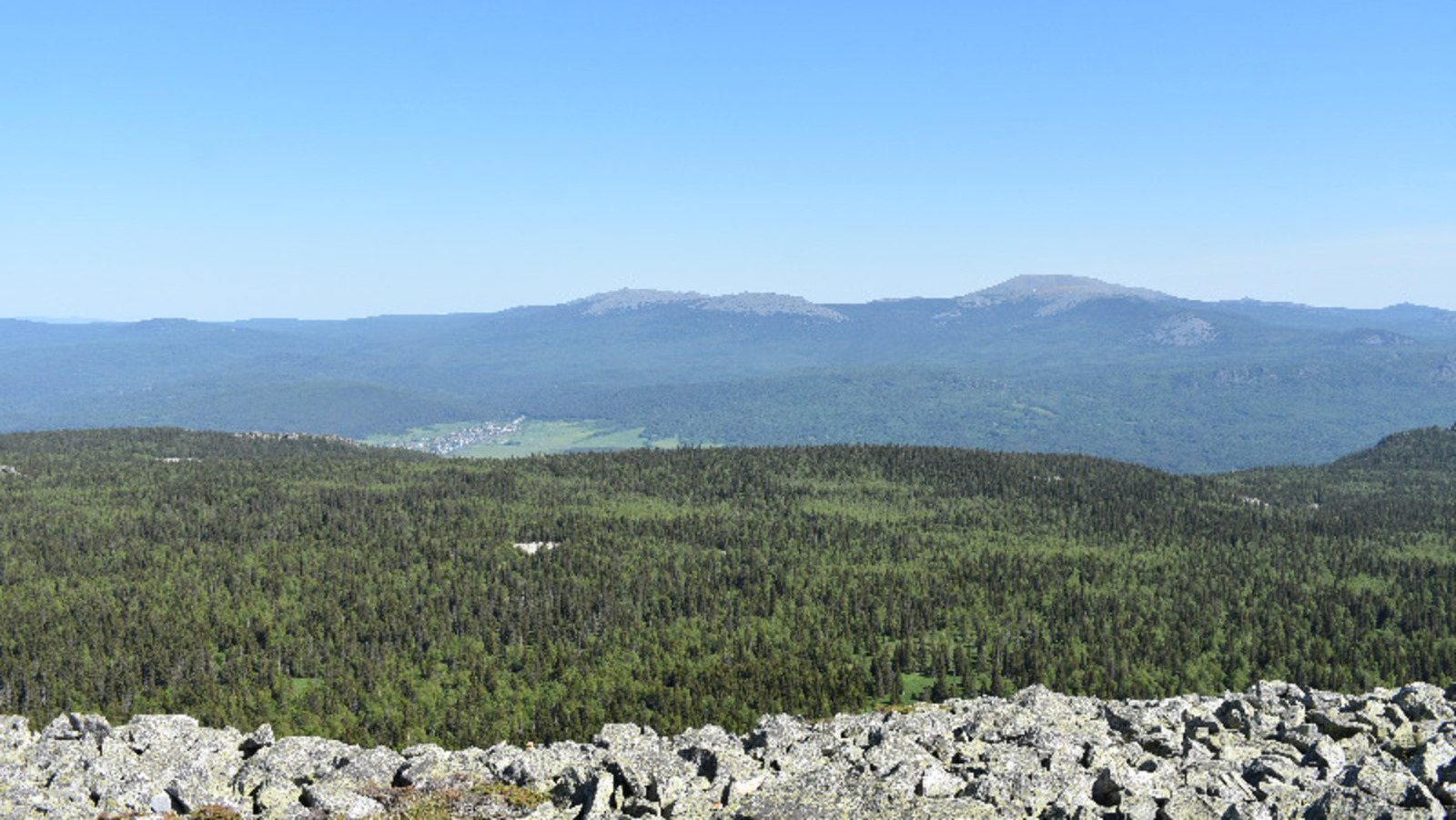 Елены Колоколовой.