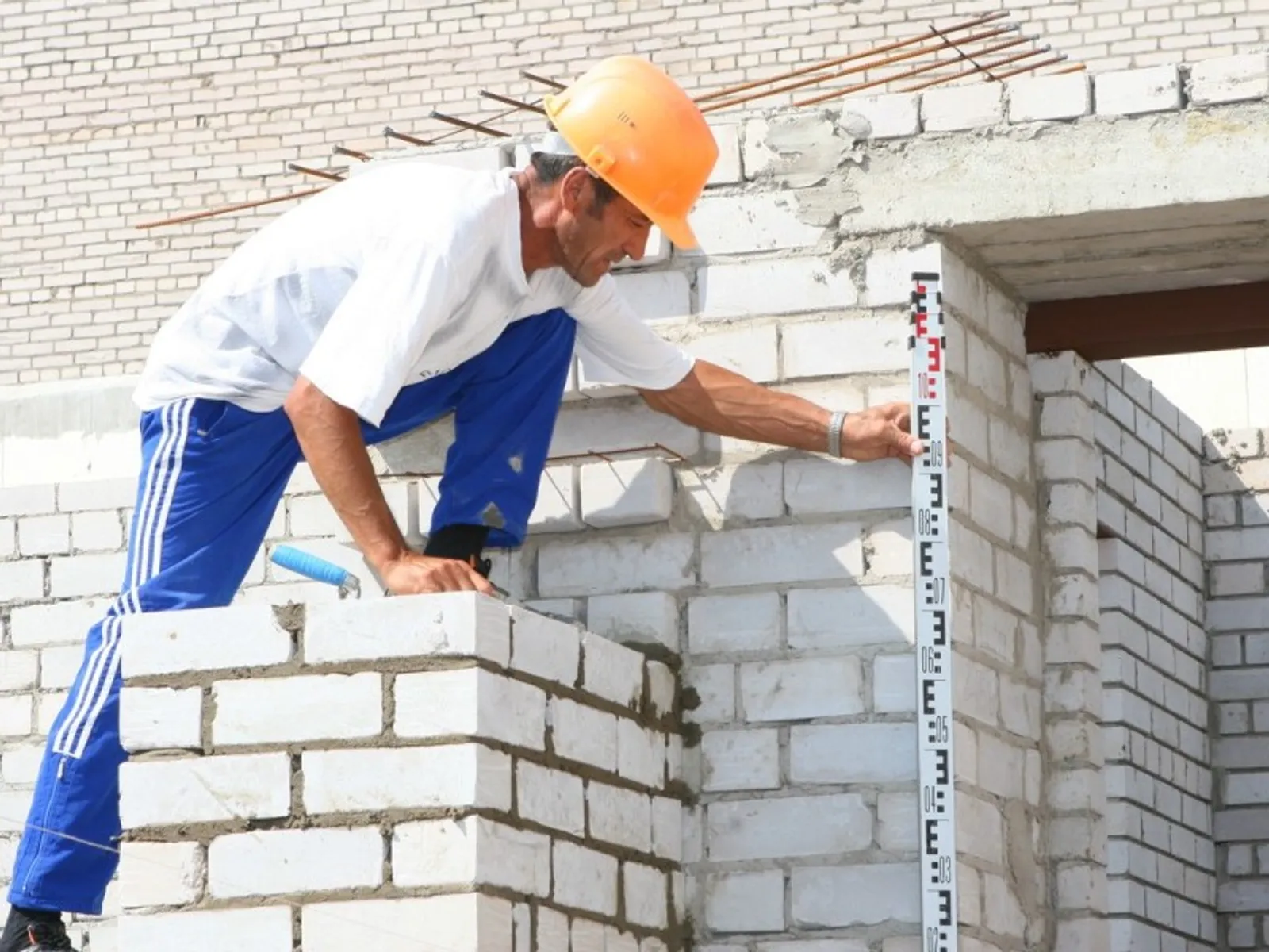 Фото Андрея Старостина (архив).