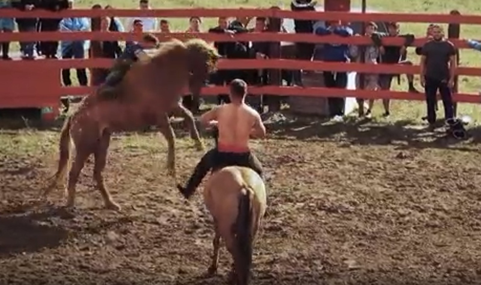 скриншот видео.