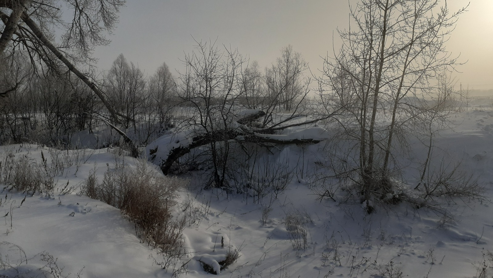 Владимира Шакиева. «Общественная электронная газета».