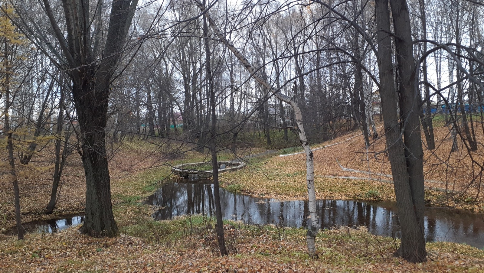 Владимира Шакиева.