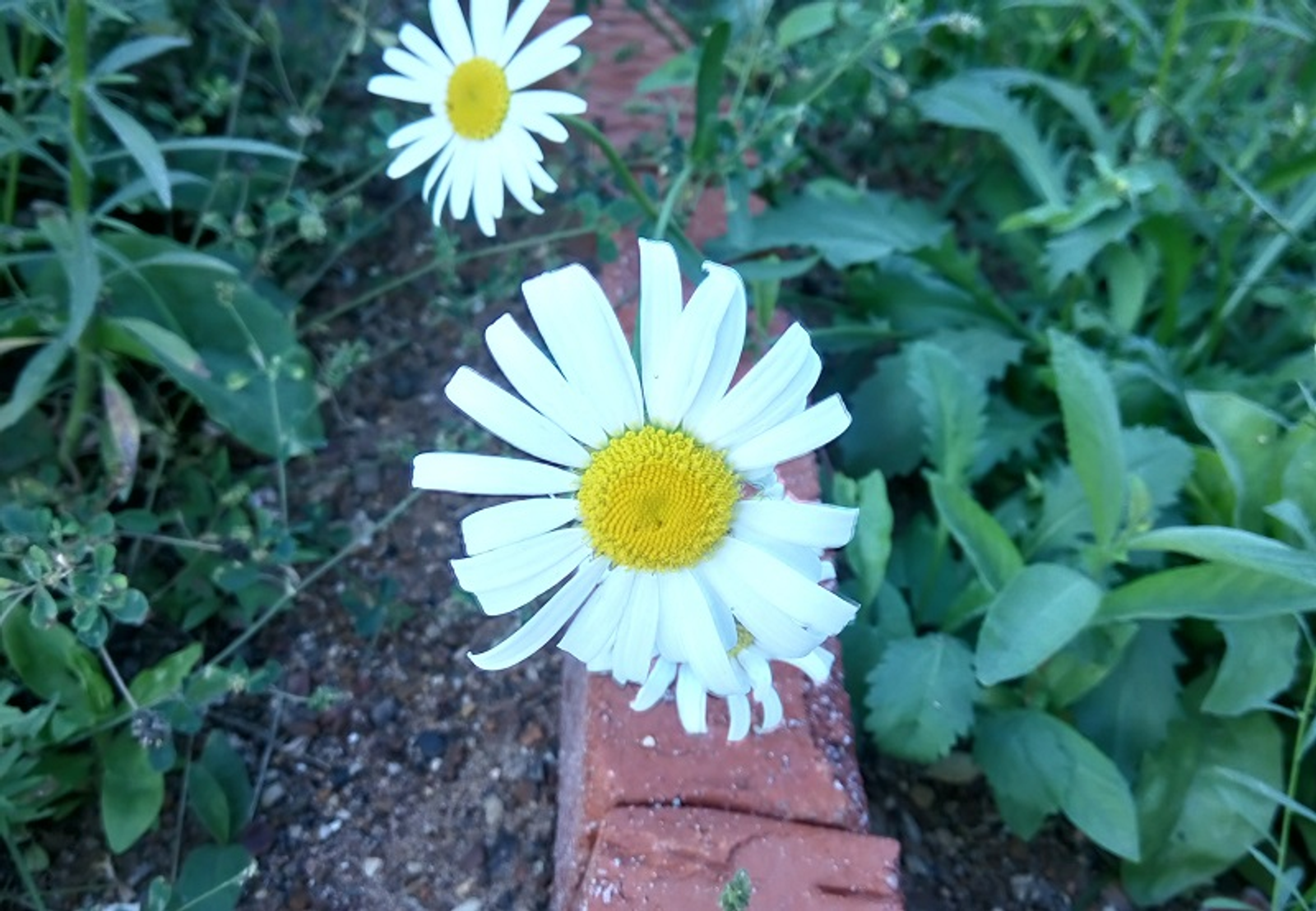 Фото Васили Саитовой.