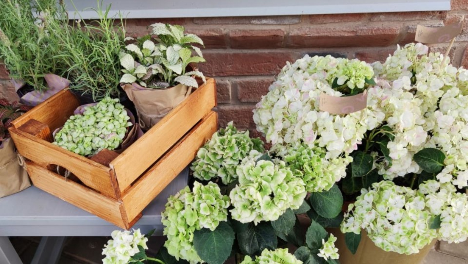 Дарьи Святохиной.