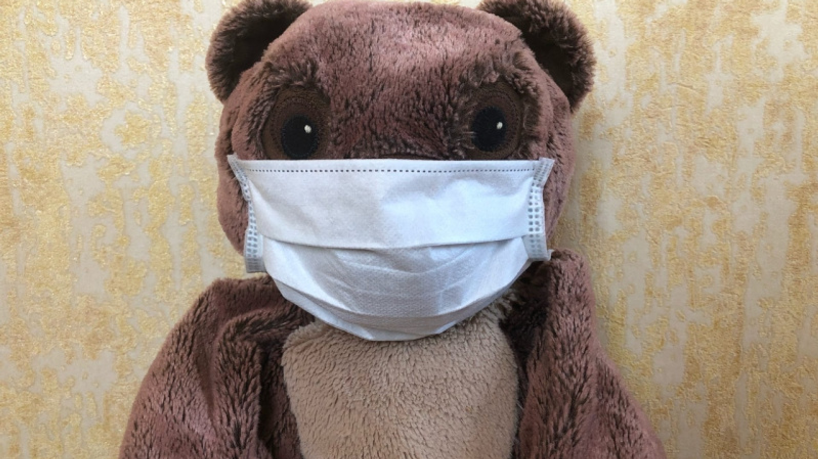 Фото Елены Колоколовой.