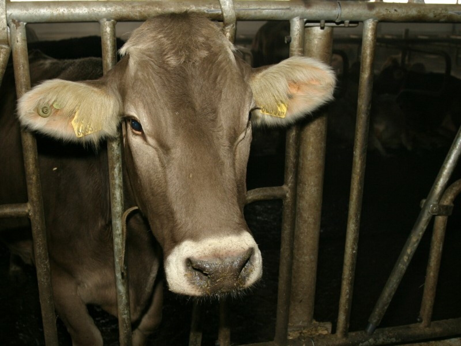 Фото Олега Яровикова.