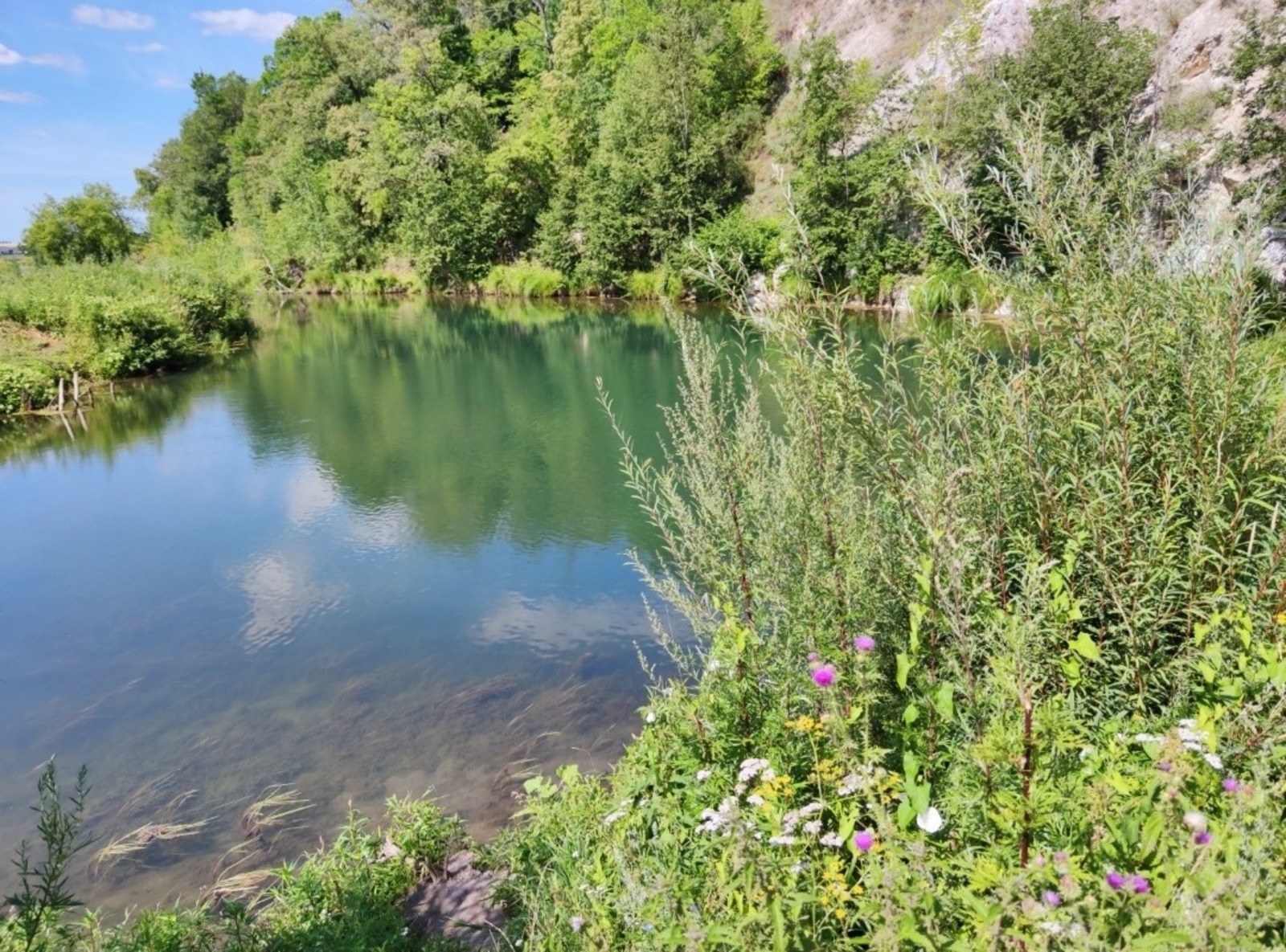 Дарьи Святохиной. «Общественная электронная газета».