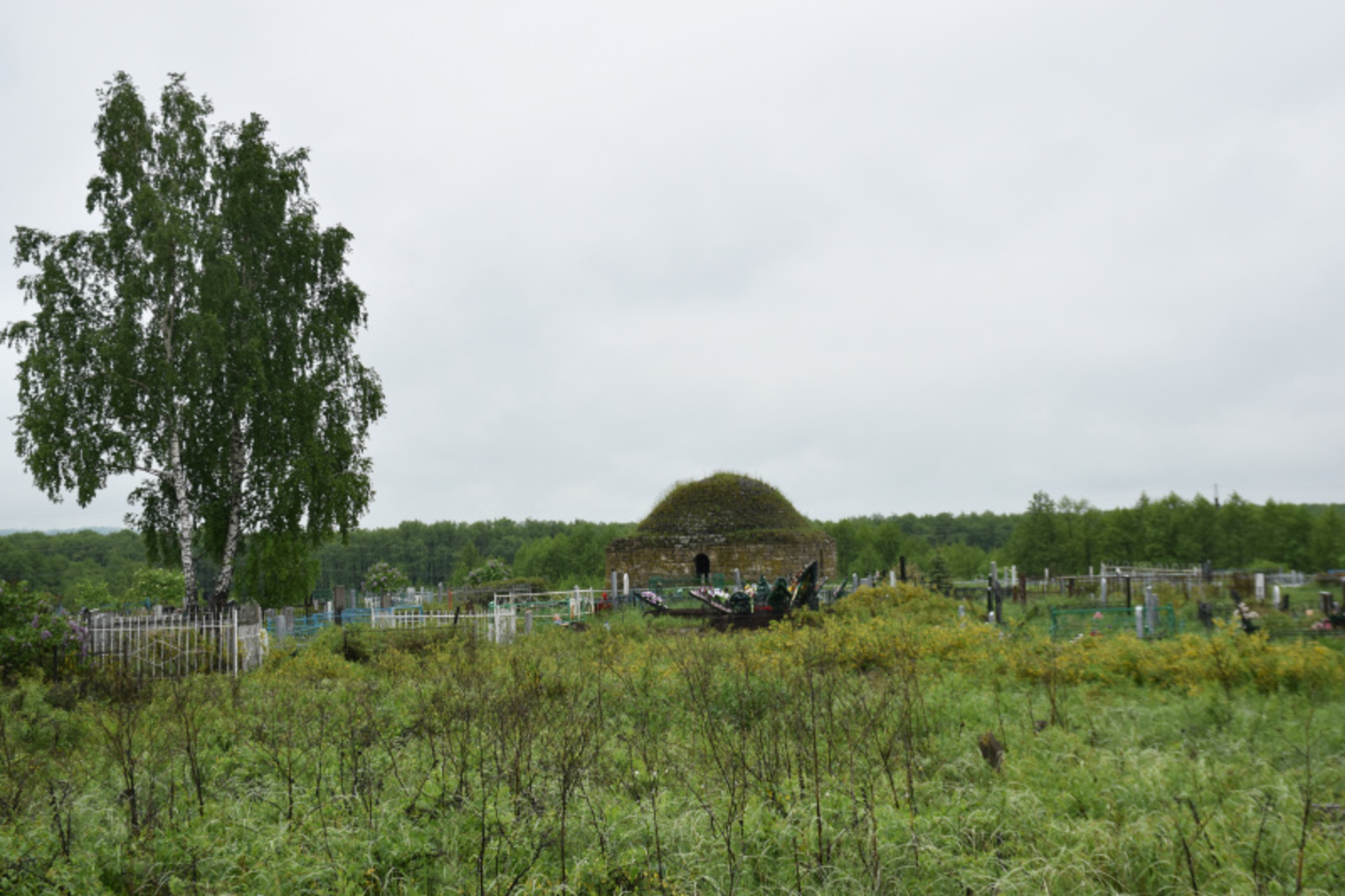 Фото автора.