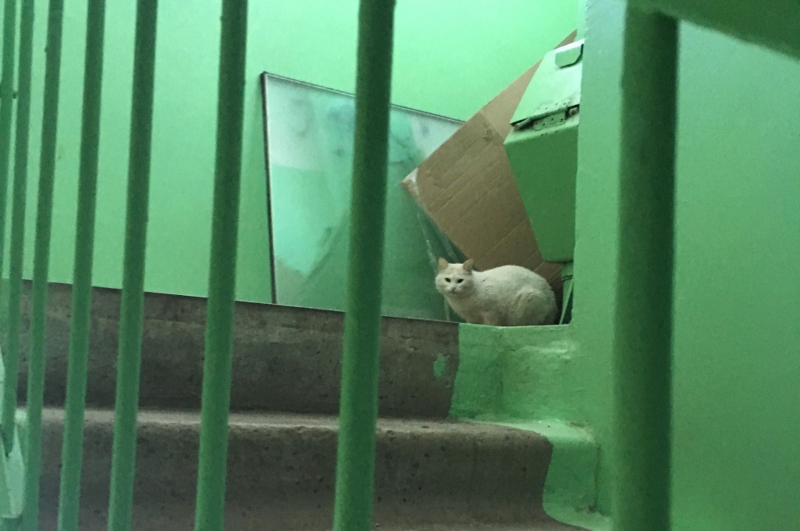 Фото автора.