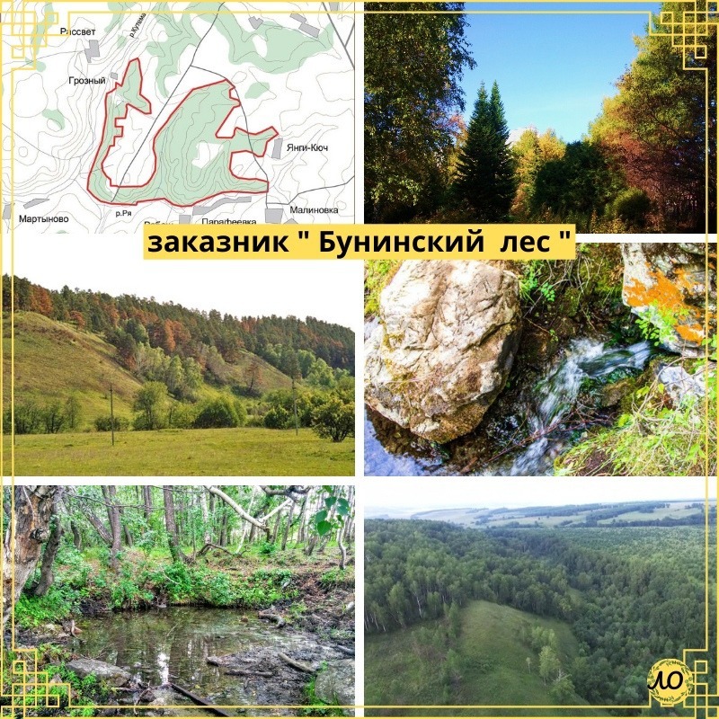 предоставлено Асей Кабировой