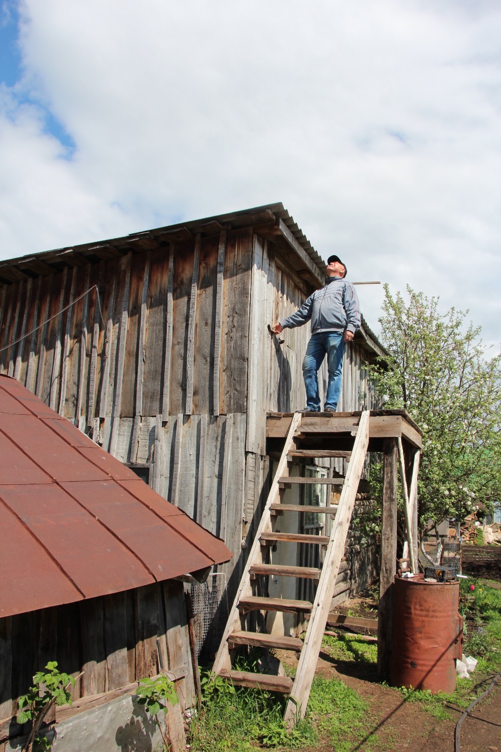 Евгении Сюткиной.
