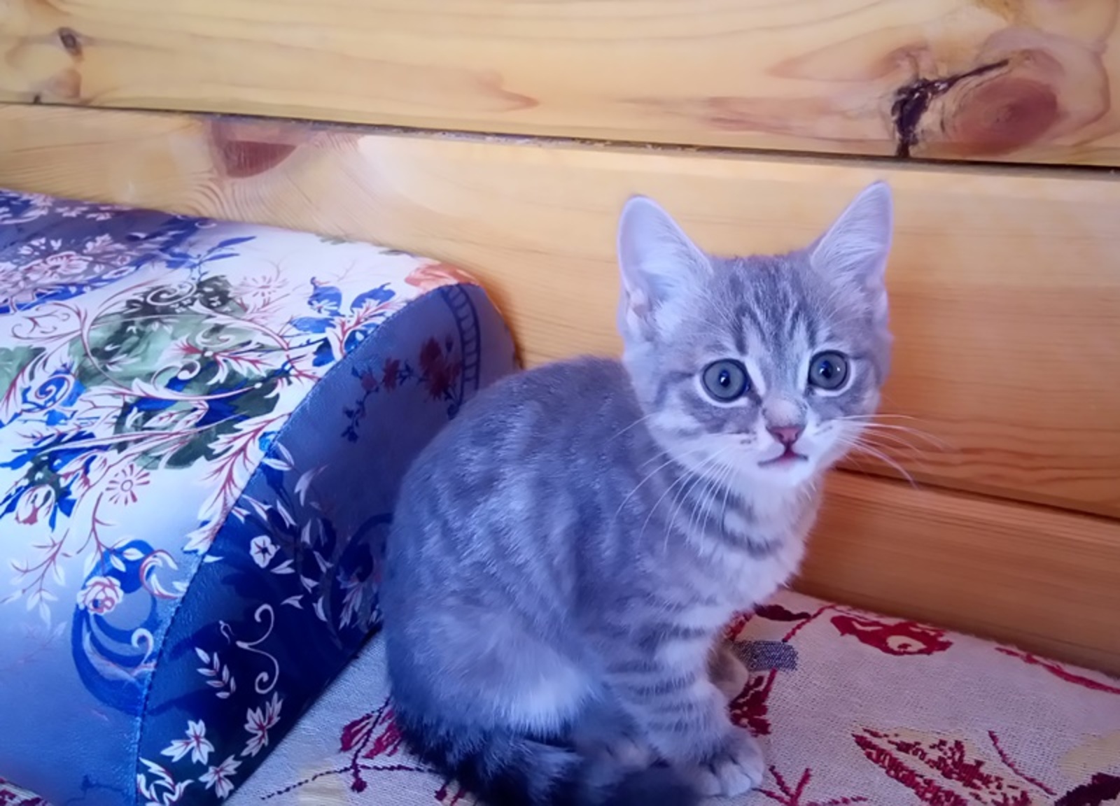 Фото Васили Саитовой.