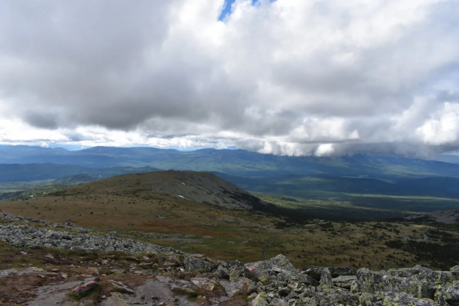 Фото автора.