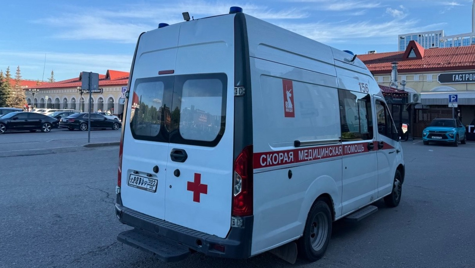 Елены Колоколовой.