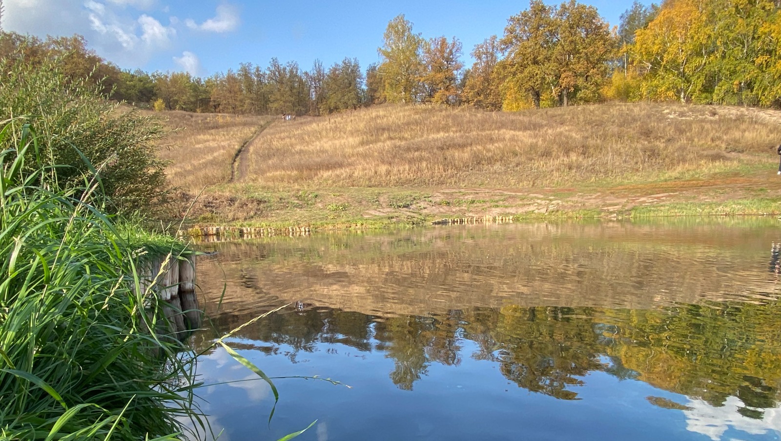 Елены Колоколовой.