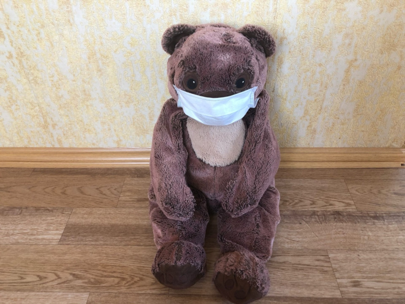 Фото Елены Колоколовой.