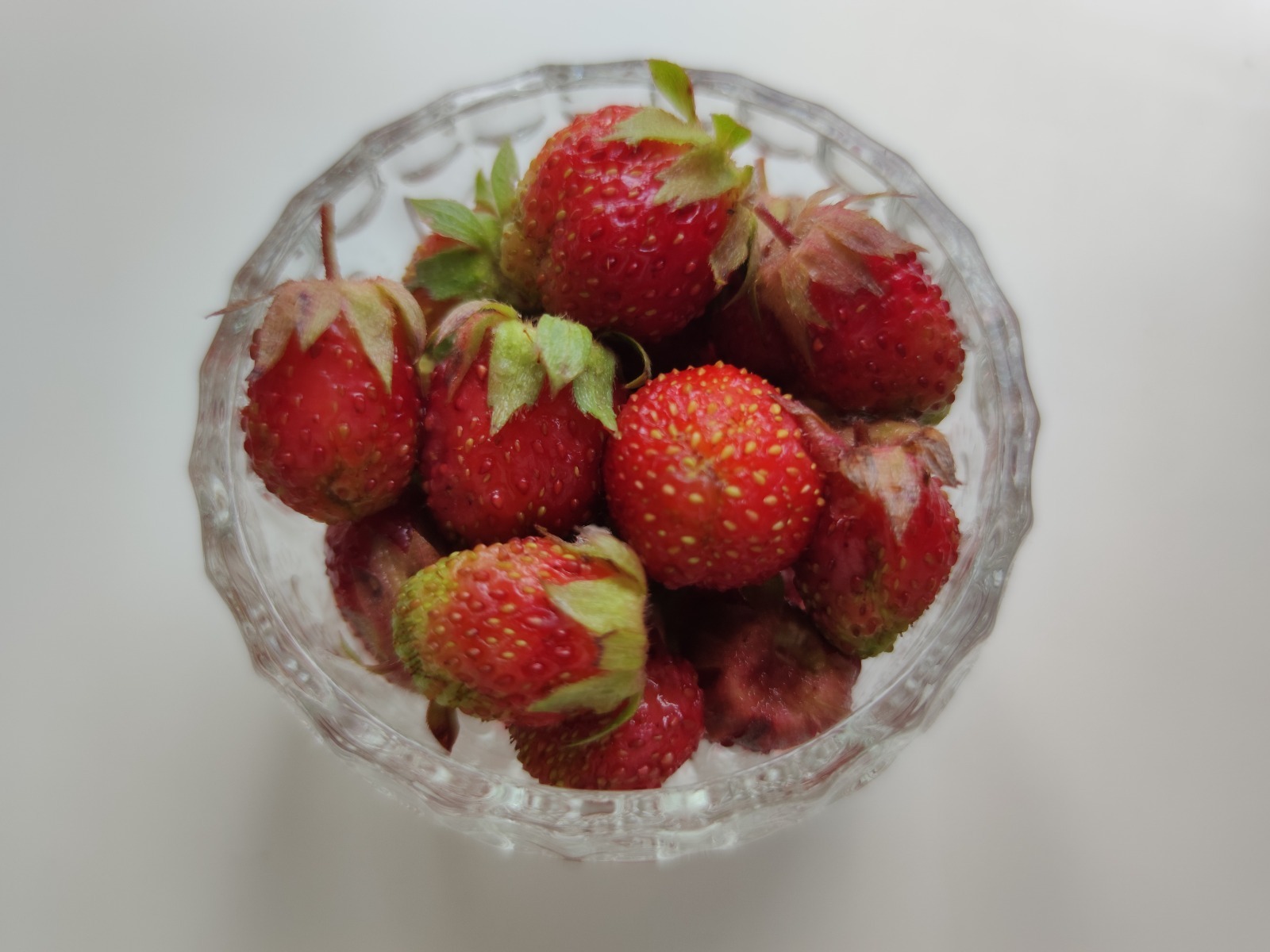 Дарьи Святохиной.