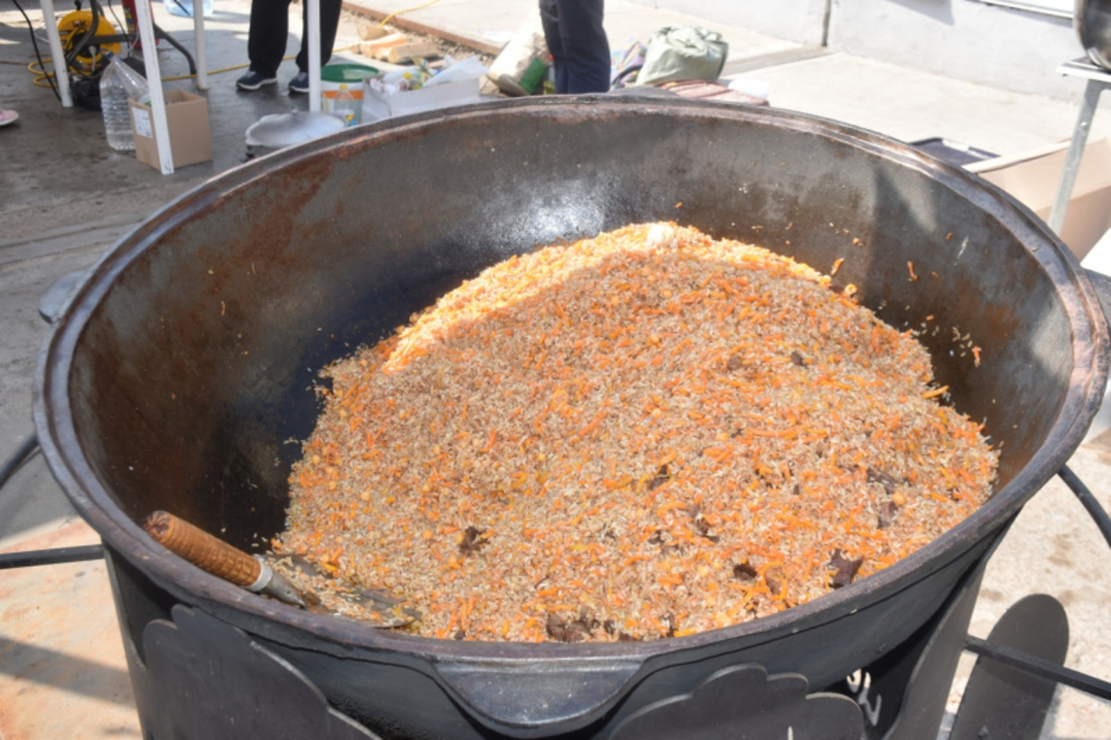 Фото Дарьи Святохиной.