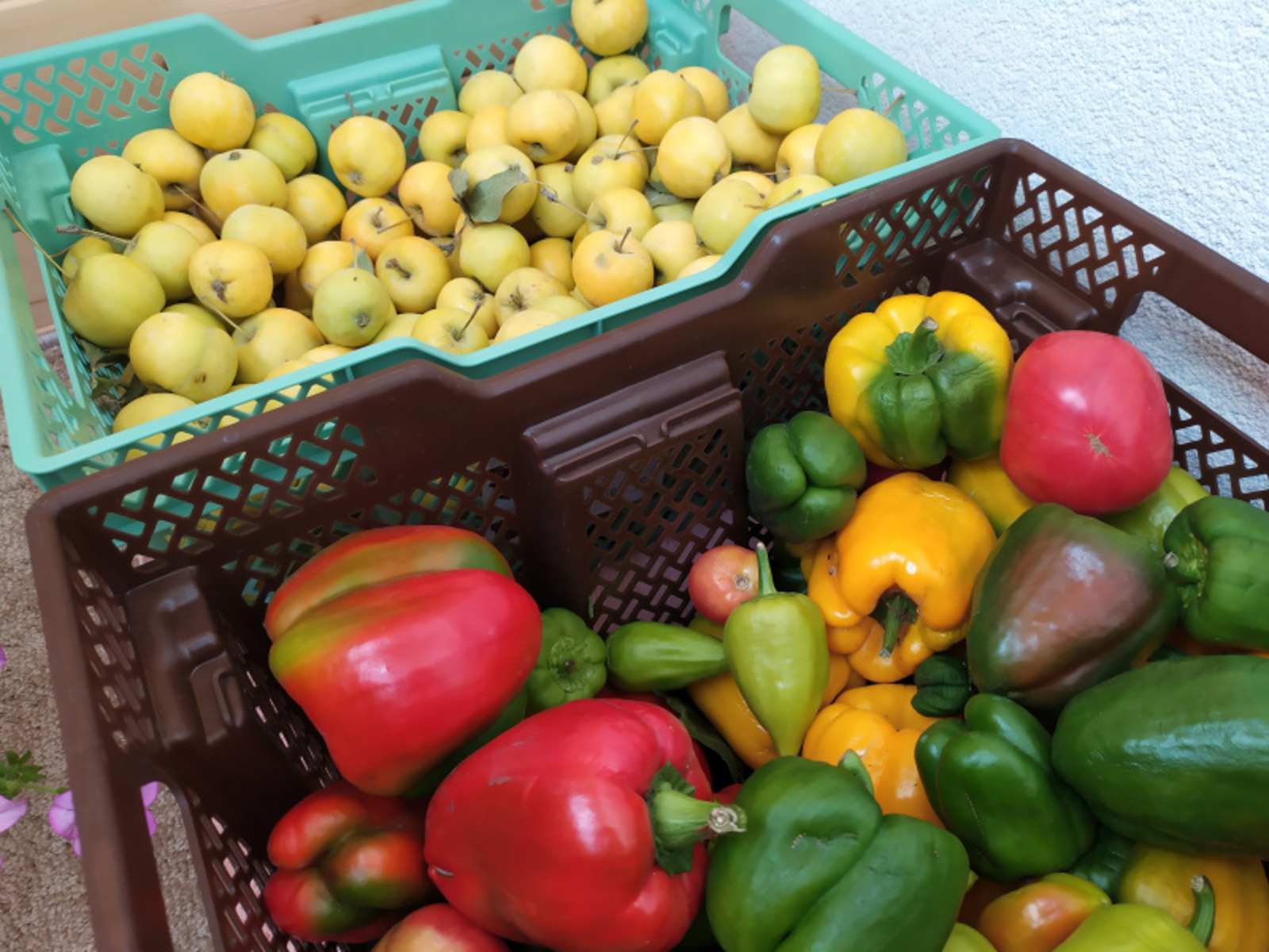 Фото Васили Саитовой.