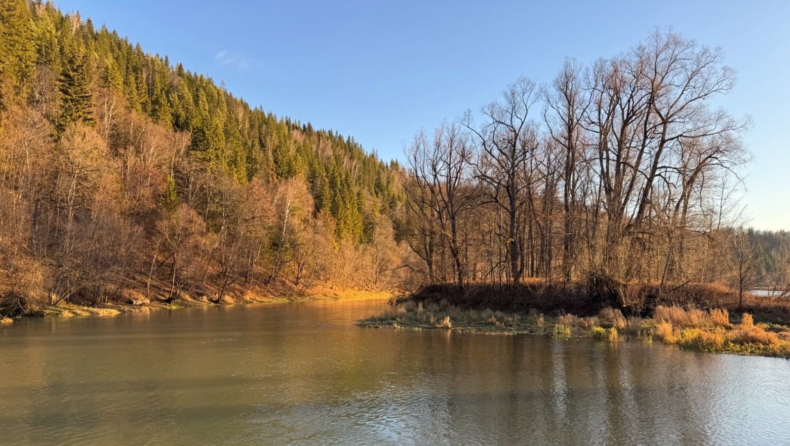 Елены Колоколовой.  "Общественная электронная газета".