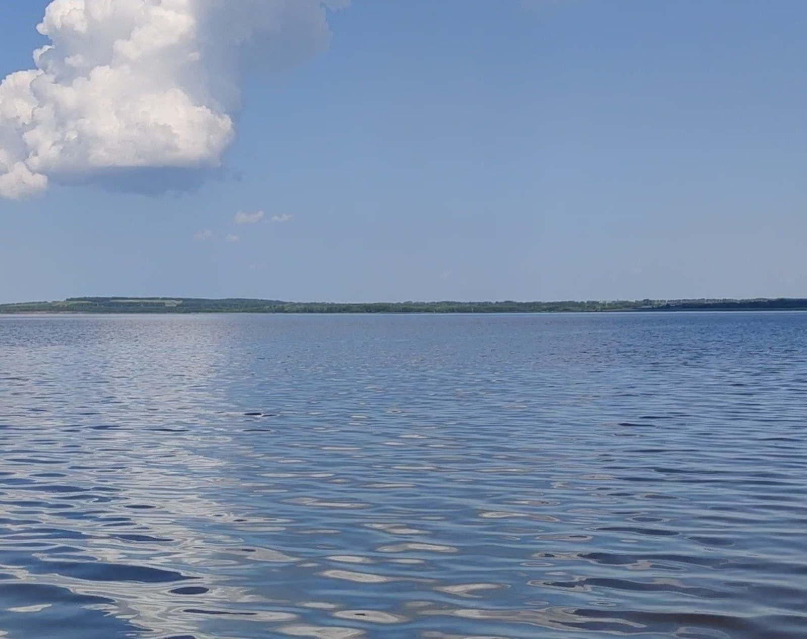 Дарьи Святохиной.