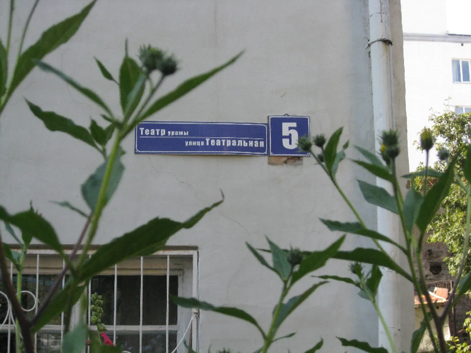 Фото автора.
