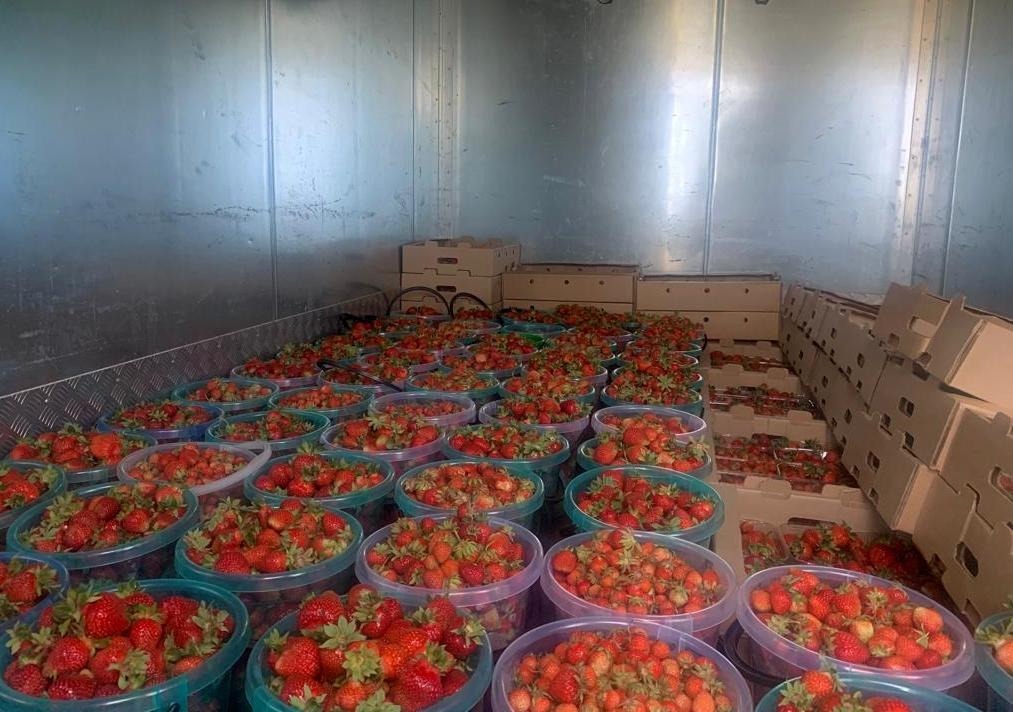 предоставлено Олегом Димитриевым.