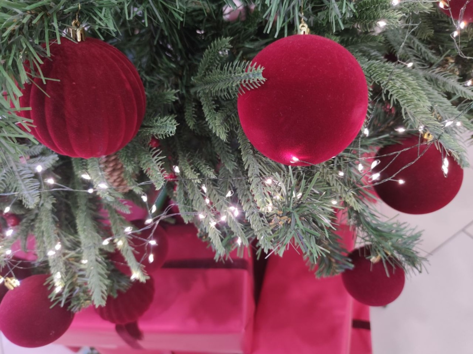 Дарьи Святохиной. «Общественная электронная газета».