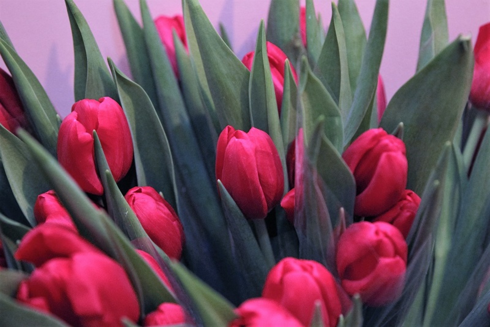 Фото Олега Яровикова.