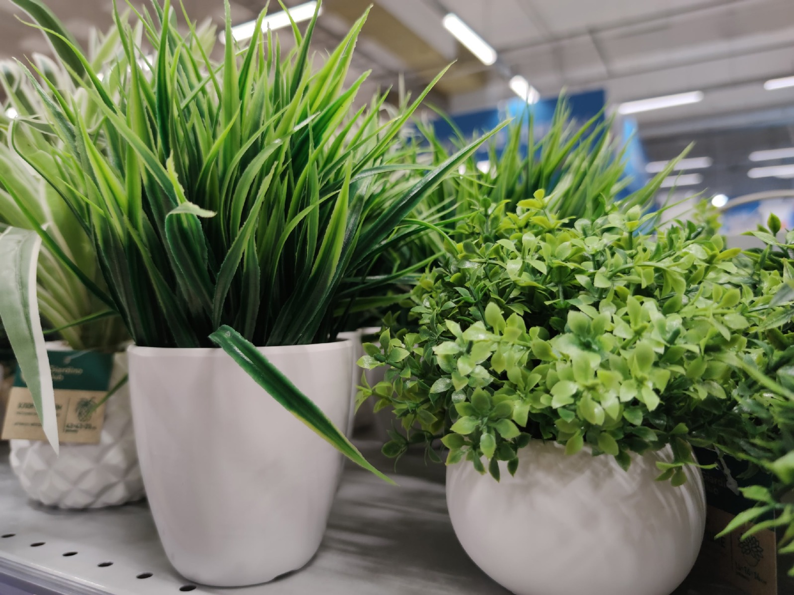 Дарьи Святохиной. Дарьи Святохиной.