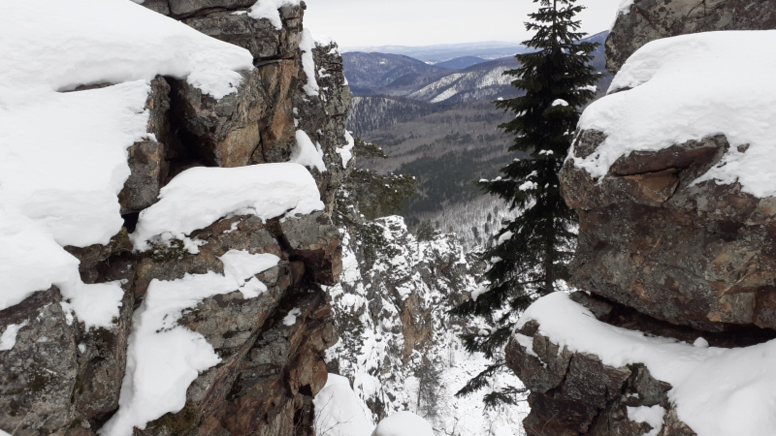 Фото автора.