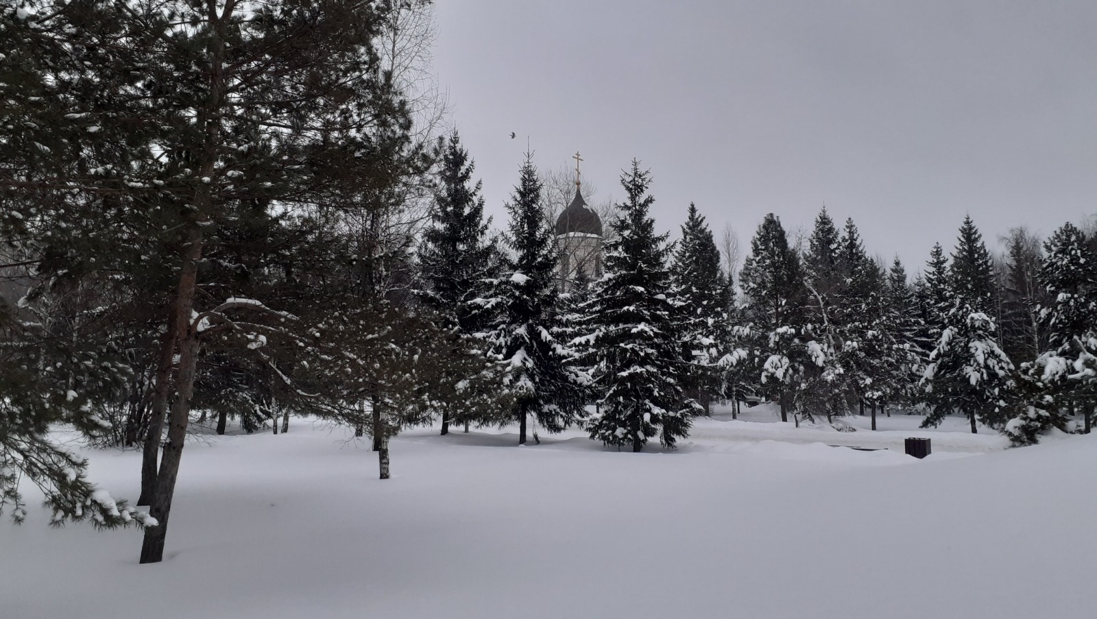 Владимира Шакиева.  «Общественная электронная газета».