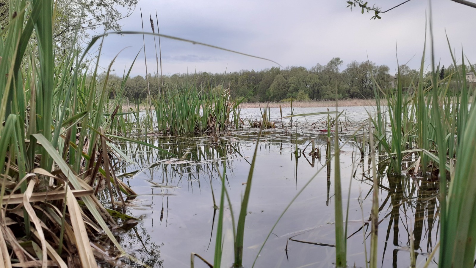 Владимира Шакиева