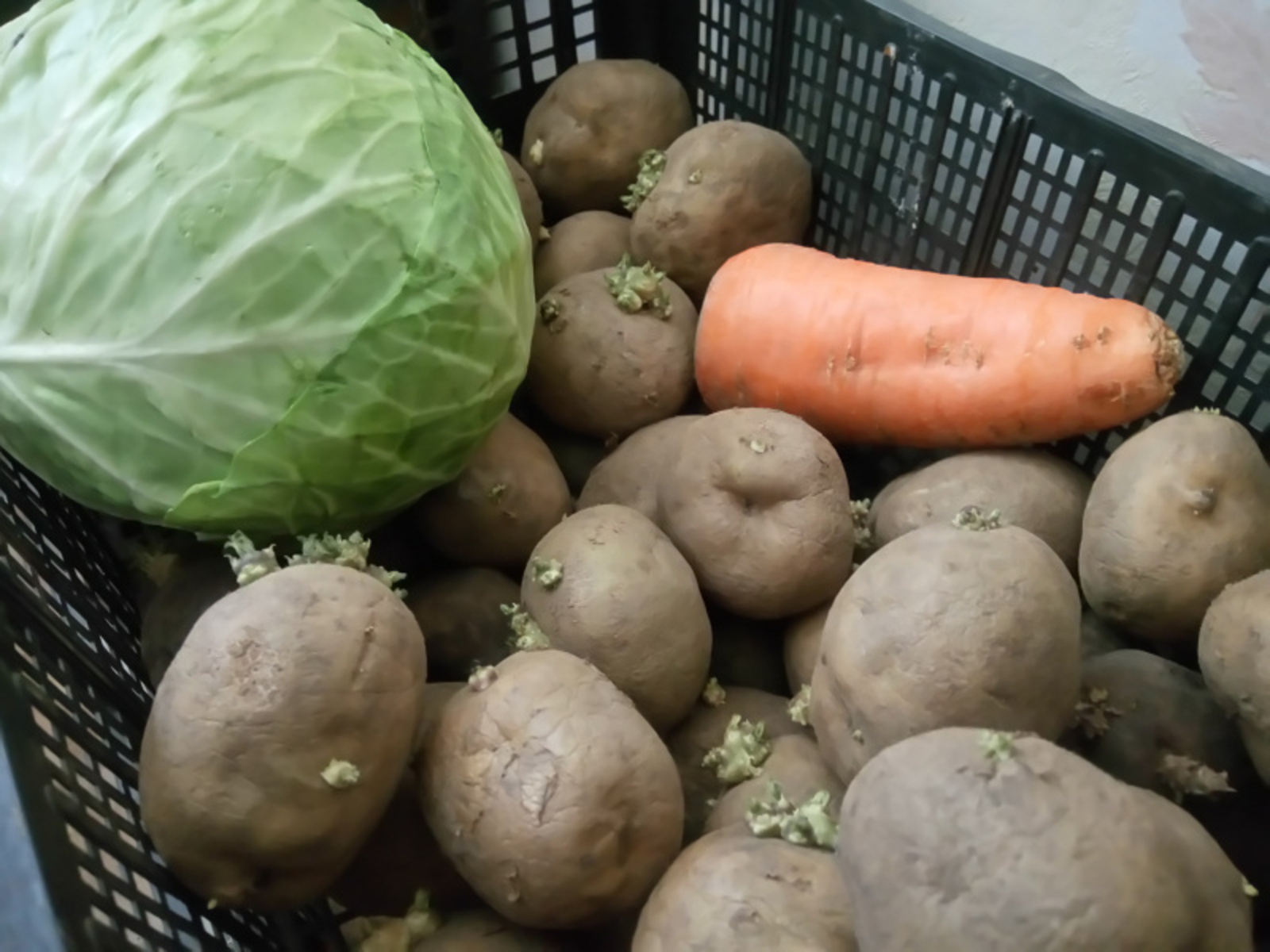 Фото Васили Саитовой.