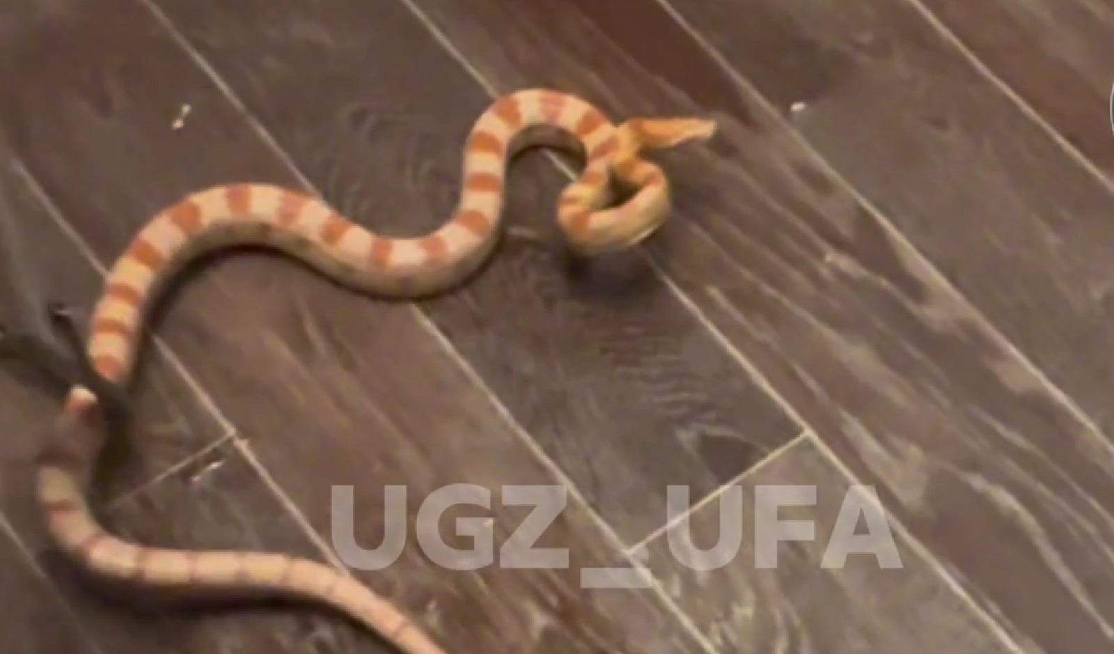 Управление гражданской защиты Уфы. скриншот видео.