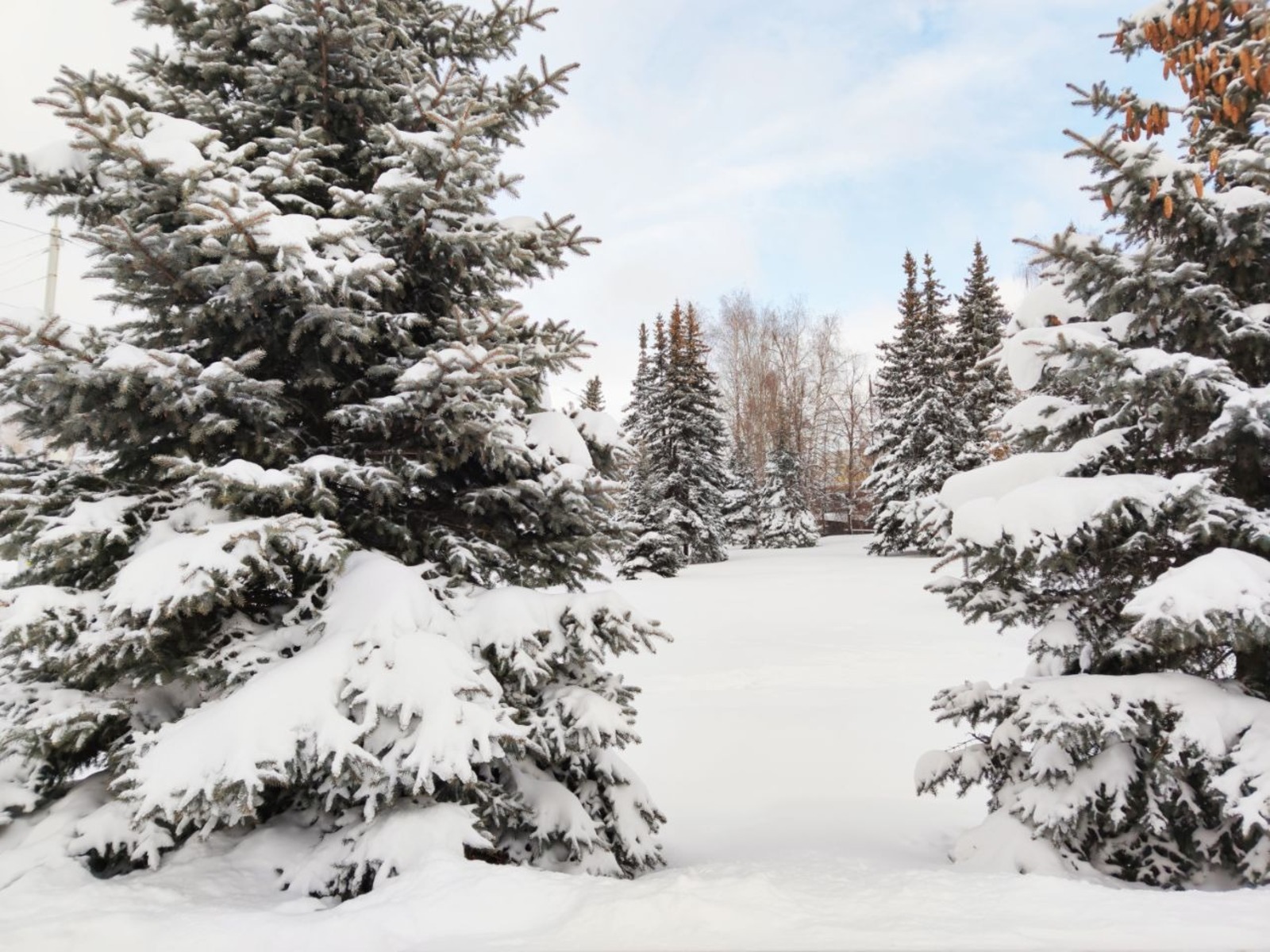 Дарьи Святохиной.