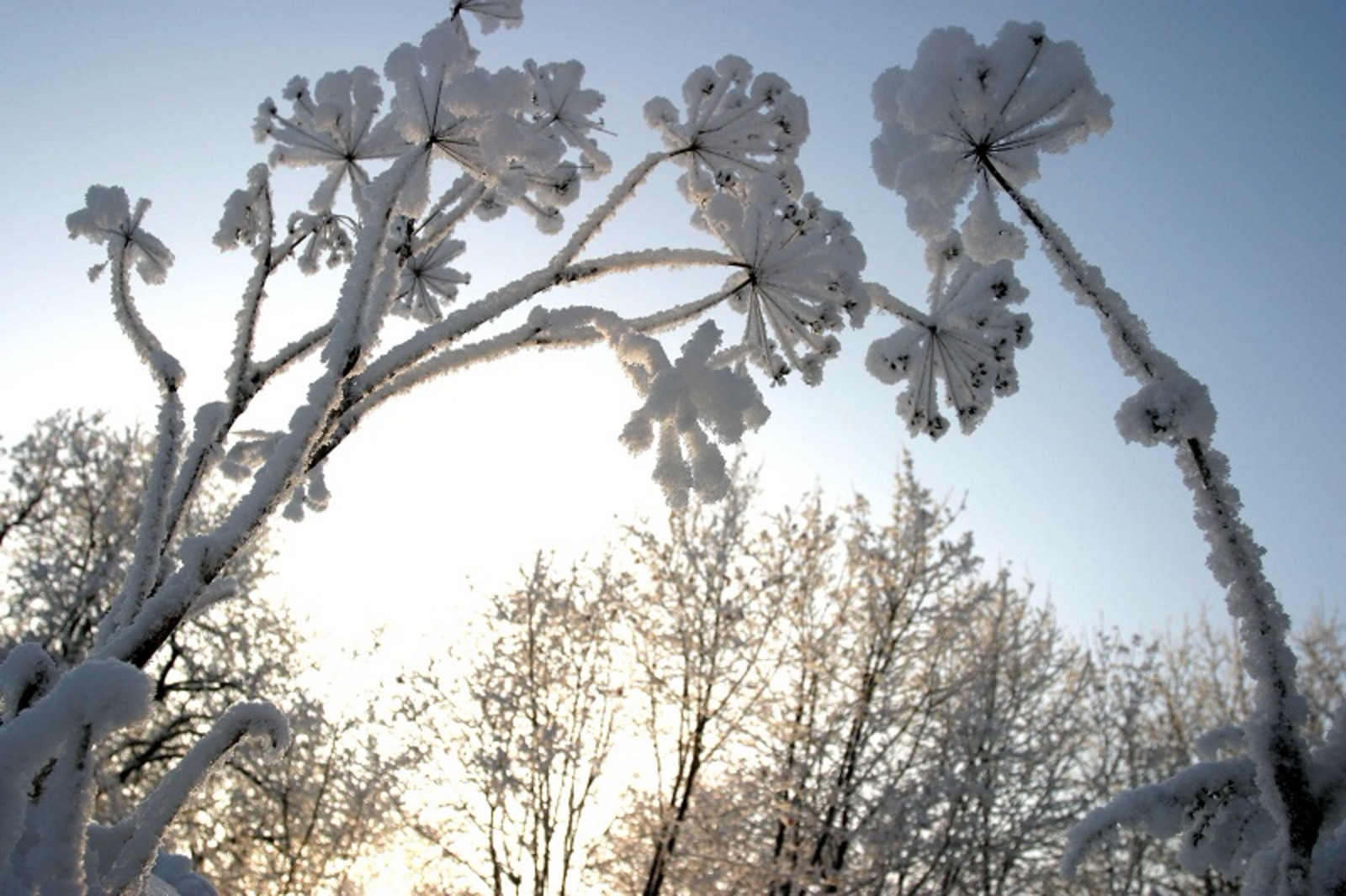 Фото Олега Яровикова.